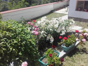 een tuin met bloemen en planten op een balkon bij Hotel Aleksievata Kashta in Gurgulyat