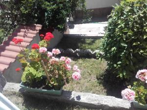 Gallery image of Hotel Aleksievata Kashta in Gurgulyat