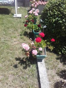 Gallery image of Hotel Aleksievata Kashta in Gurgulyat