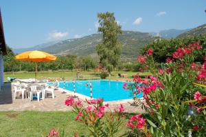 ein Swimmingpool mit Stühlen, einem Sonnenschirm und Blumen in der Unterkunft Aktiv Hotel Eden in Dro