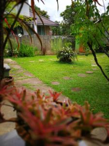 un cortile con una casa e dei fiori nel cortile di Baan Bua Guest House a Chiang Rai