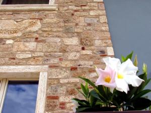 Gallery image of Residenza Case Pacifici in Ascoli Piceno