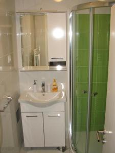 uma casa de banho com um lavatório e um chuveiro em Sweet home em Plitvicka Jezera