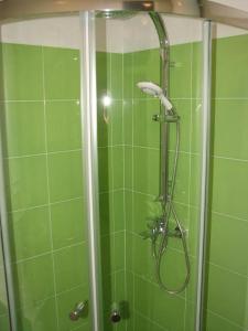 a green bathroom with a shower with a shower head at Sweet home in Plitvička Jezera