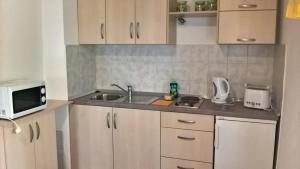 Kuchyň nebo kuchyňský kout v ubytování Apartments Krušvina