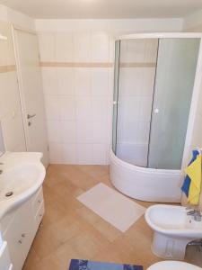 a bathroom with a shower and a toilet and a sink at Apartment Barba in Ližnjan