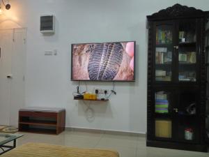 TV a/nebo společenská místnost v ubytování H2O Apartment