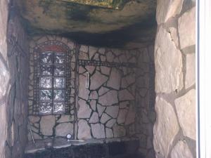 伊斯基亚Residence Giardino del Sole的相册照片