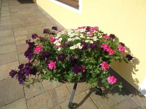 a pot of flowers sitting next to a building at Pension Wald in Faistenau
