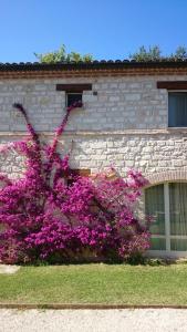 Zahrada ubytování Valcastagno Relais & Residence