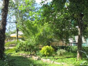 Vonkajšia záhrada v ubytovaní Lemon Tree Apartments
