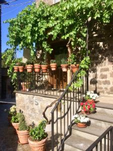 A garden outside Renaissance Boutique House