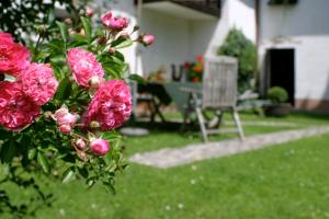 Zahrada ubytování Landhotel Neugebauer