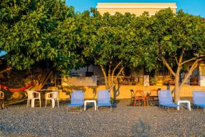 a group of chairs and tables in front of trees at Voulias Αpartments in Kini