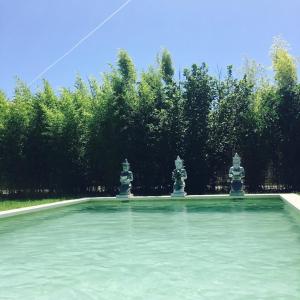 twee beelden in een zwembad met bomen op de achtergrond bij L'Islo Bamboo in Saumane-de-Vaucluse