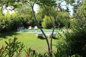 un patio con piscina y algunas sillas y árboles en L'Islo Bamboo, en Saumane-de-Vaucluse