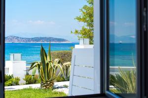Peisaj natural din apropierea acestui apartament