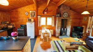 una cucina e un soggiorno in una baita di tronchi di Red Squirrel Lodge a Galway