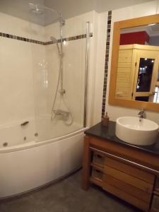 a bathroom with a tub and a sink and a shower at La Vue De Château in Commercy