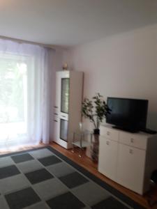 een woonkamer met een flatscreen-tv en een raam bij Apartment near Villa Turgenev in Baden-Baden