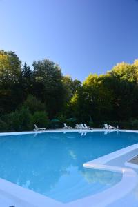 a flock of seagulls sitting on top of a swimming pool at Hôtel Etang des Reynats in Chancelade