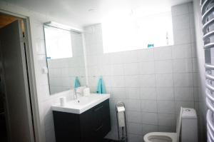 a bathroom with a sink and a mirror and a toilet at Åker Kristinagården in Skillingaryd