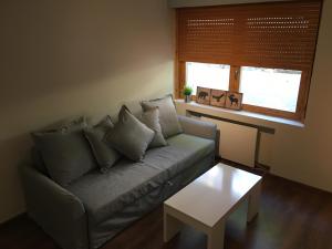 Posezení v ubytování La Pinilla Ski Apartment