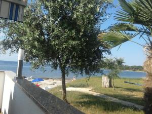 Fotografie z fotogalerie ubytování Apartments Ivas v destinaci Zambratija