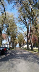 uma rua arborizada com um carro estacionado na estrada em Plantation Motel em Huron