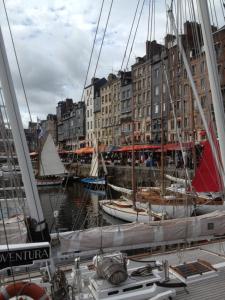 a group of boats docked in a harbor with buildings at Rue Des Lingots Apartment in Honfleur