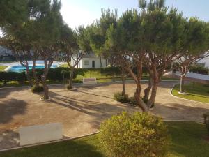 a group of trees in a yard with a pool at Sancti Petri Marinero in Chiclana de la Frontera
