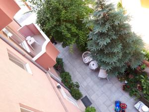 Zahrada ubytování Art Guest House Orchidea