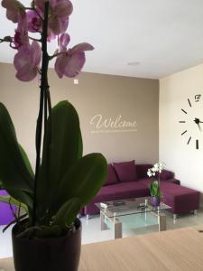 Posezení v ubytování Iason Apartments