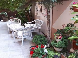Zahrada ubytování Art Guest House Orchidea