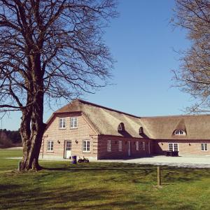 Imagen de la galería de Aagaarden, en Billund