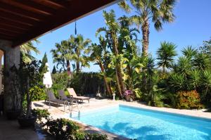 a swimming pool in a yard with palm trees at Lachi Marina Villa #17 in Polis Chrysochous
