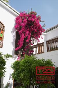 Ein paar rosa Blumen hängen von einem Gebäude in der Unterkunft Riad Alma in Marrakesch