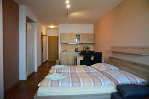 a bedroom with two beds and a kitchen at Pension Calla in Dolní Vltavice