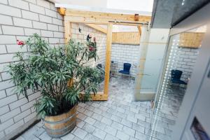 a patio with a door and a potted plant at Heilbronner Pension am schönen Theater in Heilbronn