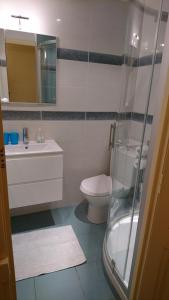 Un baño con inodoro, lavabo y ducha. en Sur Le Vieux Port Appartement Vue Sur Mer, en La Rochelle