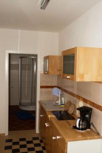 een keuken met een wastafel en een douche bij Villa Sängerstein in Eisenach