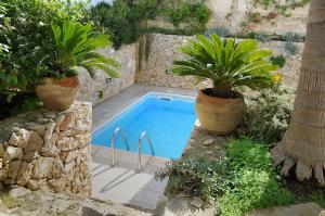 una piscina con due piante in vaso accanto ad essa di Residence Quattrocolonne a Santa Maria al Bagno