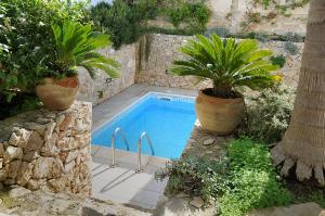 a swimming pool with two potted plants next to it at Residence Quattrocolonne in Santa Maria al Bagno