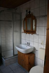 ボルテンハーゲンにあるZur alten Schmiede I (Mitte)のバスルーム(シンク、シャワー、トイレ付)