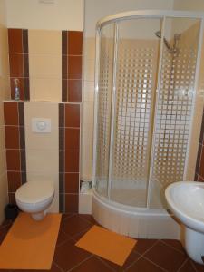 Koupelna v ubytování Apartments Liptov City + 34 fotografií
