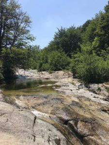 ZicavoにあるHotel du Tourismeの木々岩の川