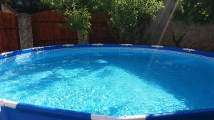 a large pool with blue water in a yard at Casa Sasca Montana in Sasca Montană