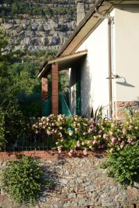 a house with flowers in front of a window at Casa1 in Monsummano