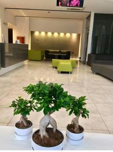 Posedenie v ubytovaní Hotel Artemide