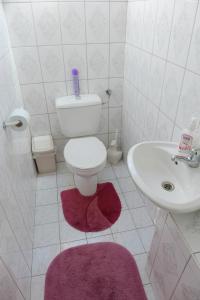 a bathroom with a toilet and a sink with a purple rug at Caty Vendégház in Hajdúszoboszló